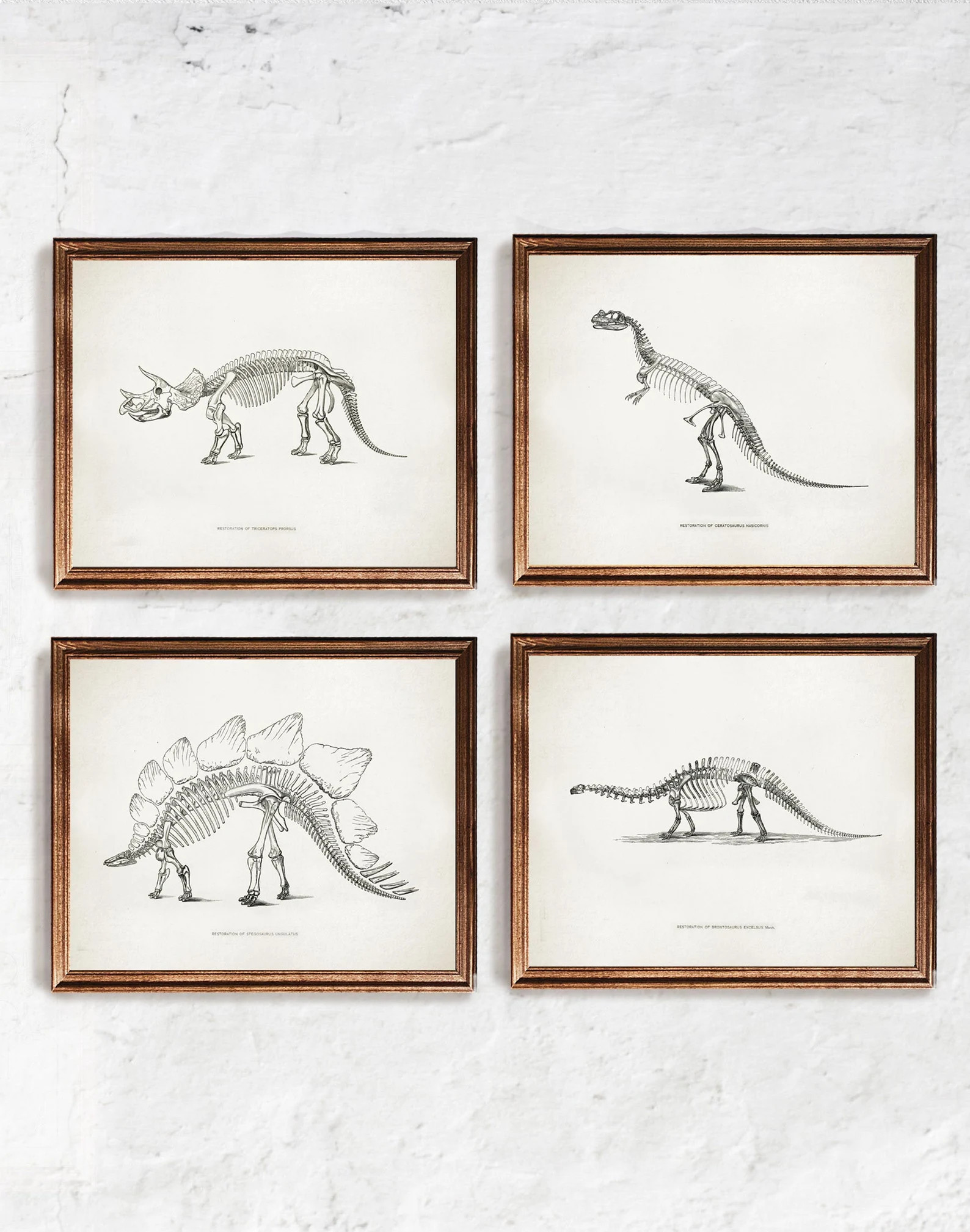 Dinosaur Print  Set of 4 Paleontology Poster Extinct Animal - Etsy | Etsy (US)