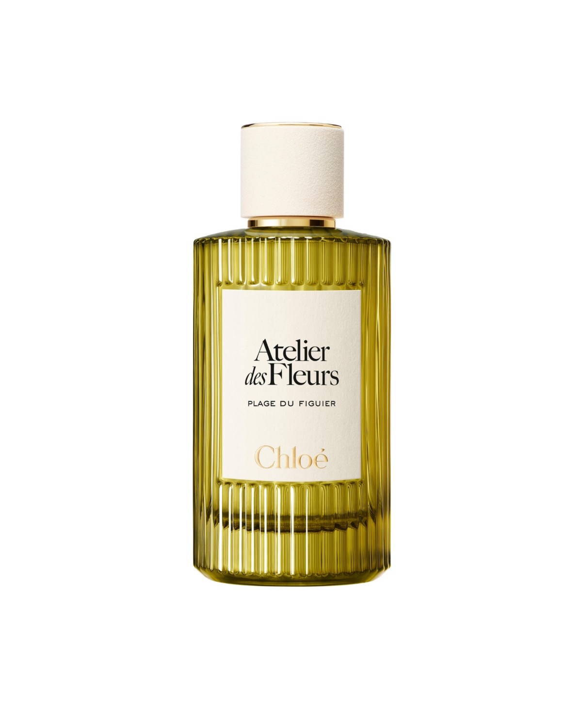 Chloe Atelier des Fleurs Plage du Figuier Eau de Parfum Spray, 5 oz. | Macy's