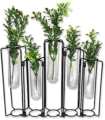 Modern Black Metal Stand with Clear Glass Tube Vase Planters for Minimalist Decor and Propagation... | Amazon (US)