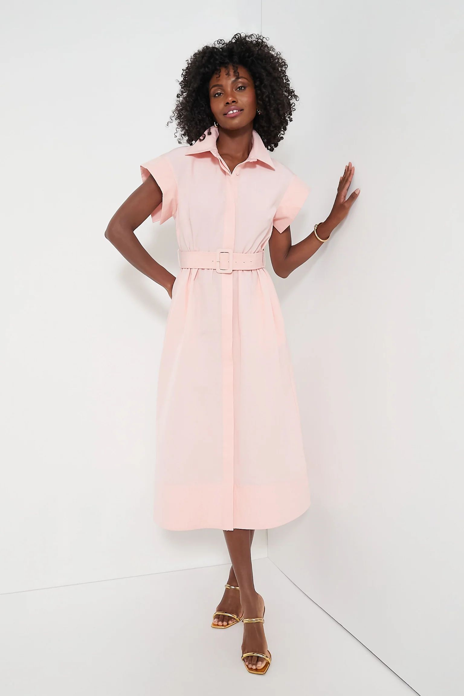 Pink Salt Chloe Dress | Tuckernuck (US)