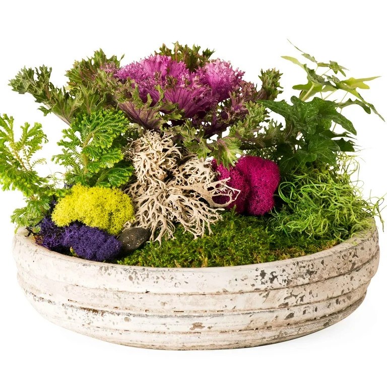 Proflora Preserved Green Moss Mix Collection, 150 CU in -  Floral Arranging Supplies | Walmart (US)