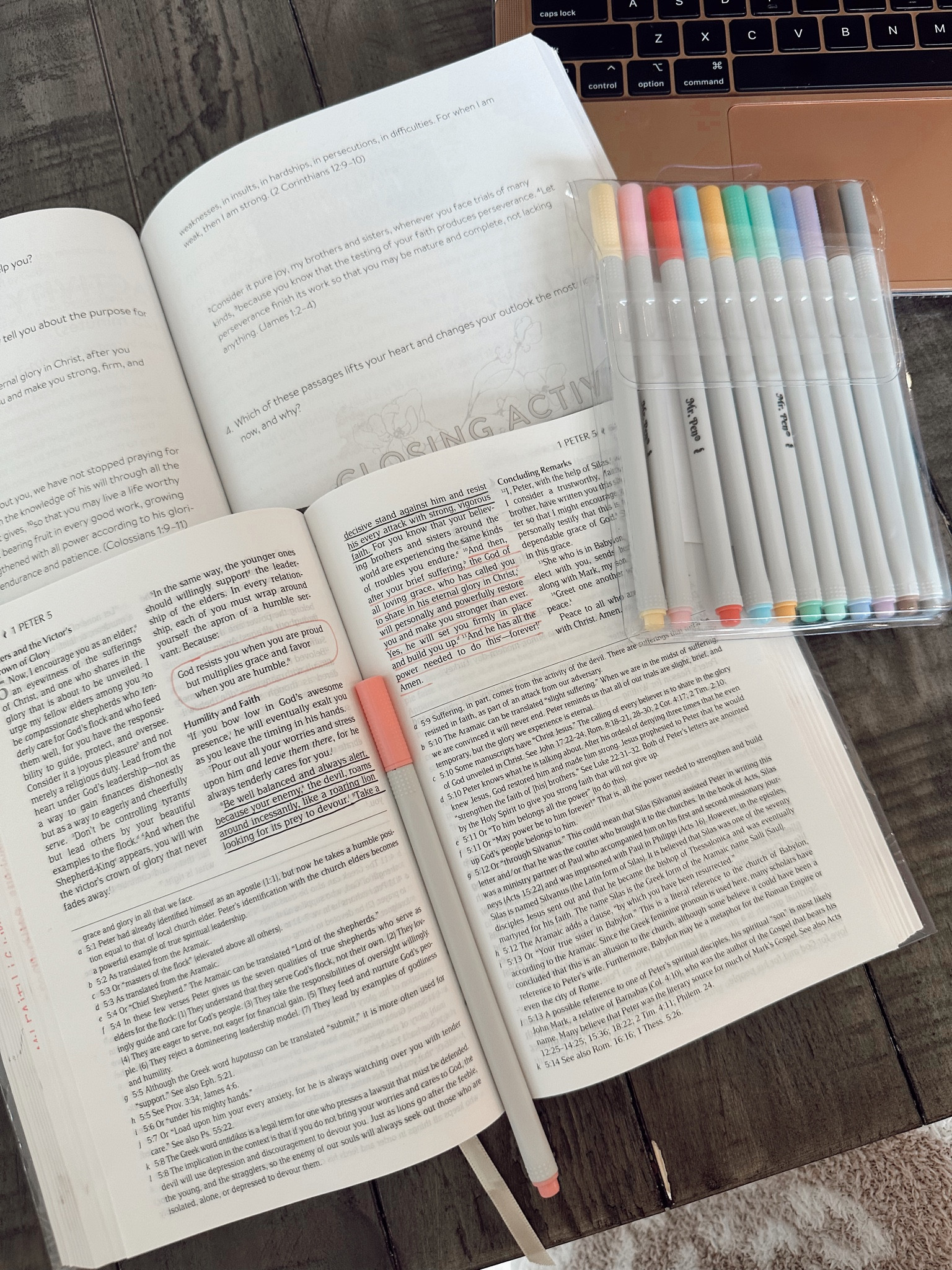 FAQ: “what bible do you use?” here it is 🤍 and the best bible pens that don’t bleed!🙌🏼🫶🏼

#LTKGiftGuide #LTKfamily #LTKFind