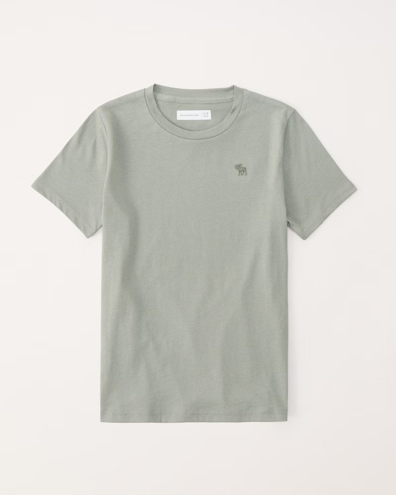 essential icon crew tee | Abercrombie & Fitch (US)