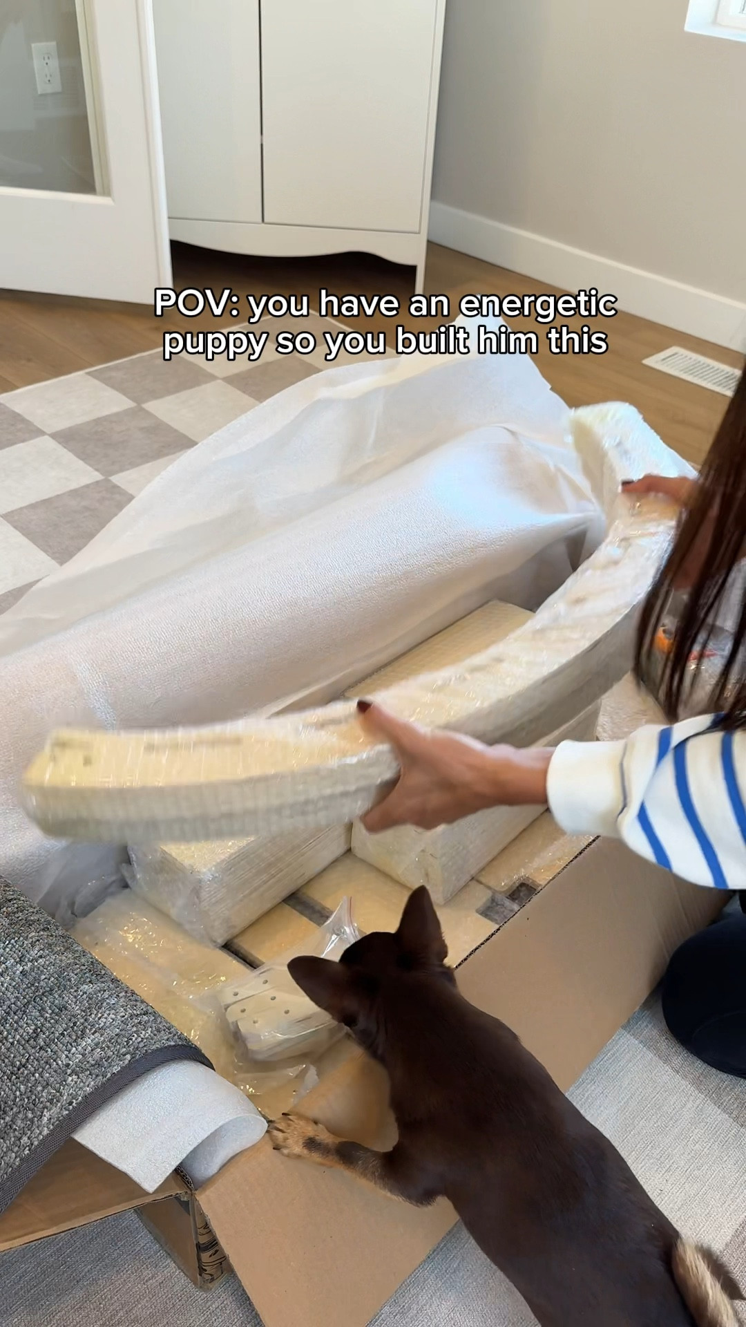 Remi’s wheel!! #amazonfinds #petfinds #amazonpet

#LTKSeasonal