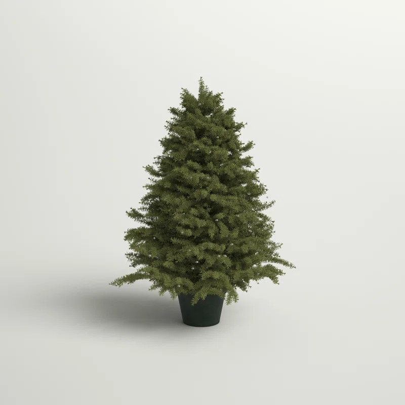 3' Green Pine Artificial Christmas Tree with 100 Clear Lights | Wayfair North America