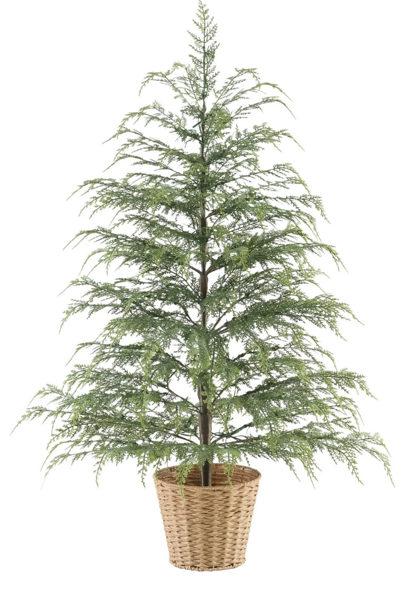 Viral Christmas Tree Back in Stock 

#LTKHome #LTKHoliday #LTKSeasonal