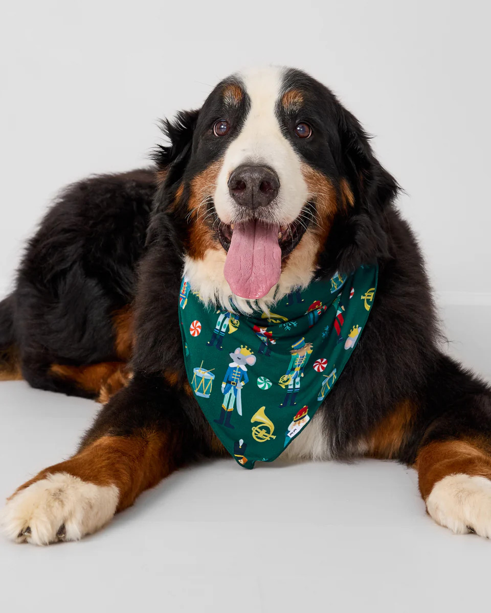 Nutcracker March Pet Bandana | Little Sleepies