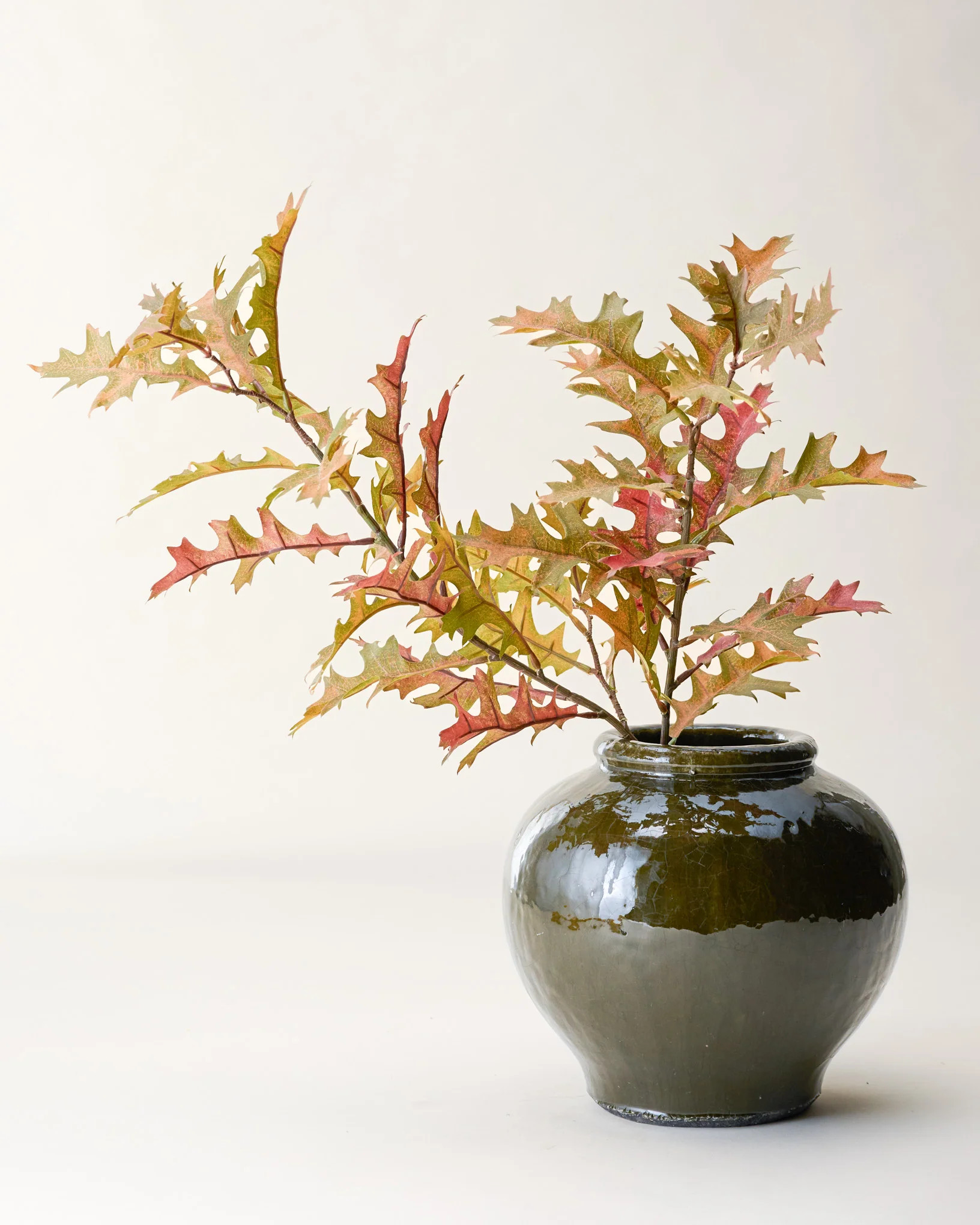 Oak Leaf Branch | Magnolia
