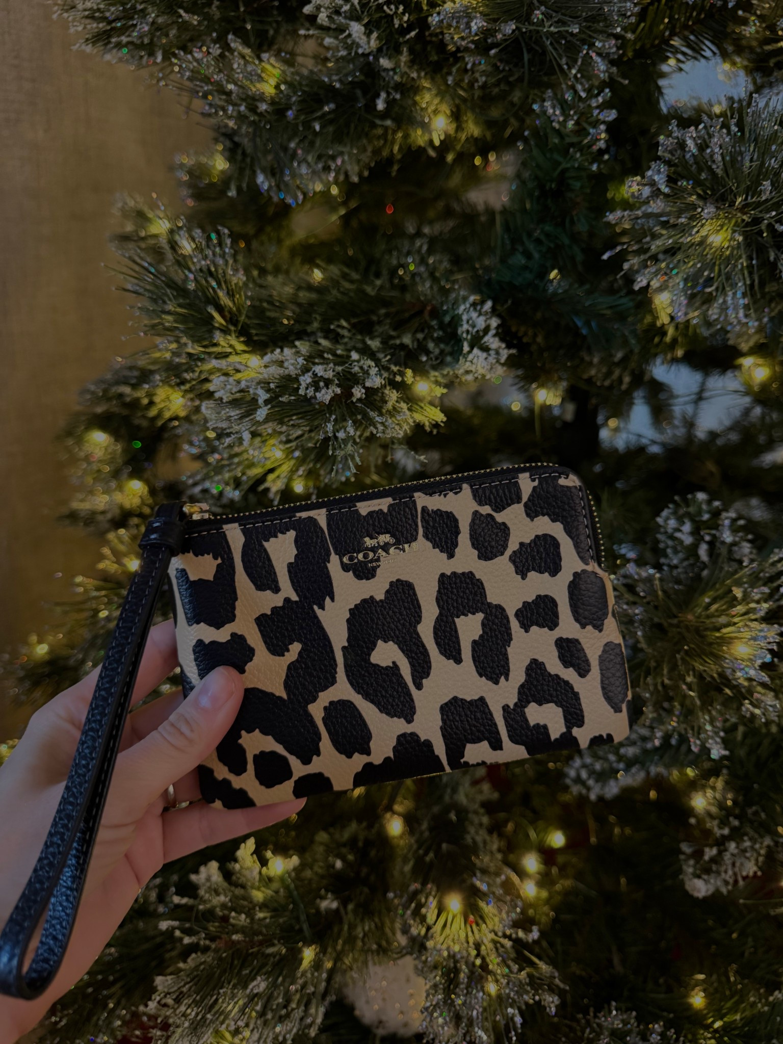 Stunning gift for $39