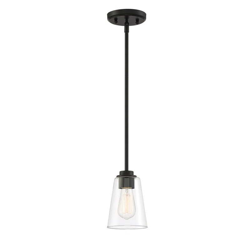 Lederman 1 - Light Single Cone Pendant | Wayfair North America