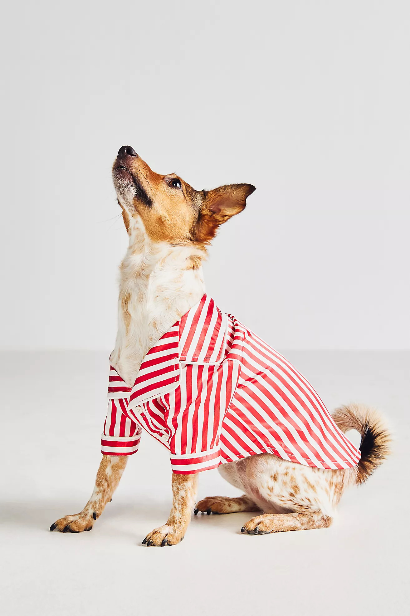 Found My Animal x Anthropologie Striped Pet Pajamas | Anthropologie (US)