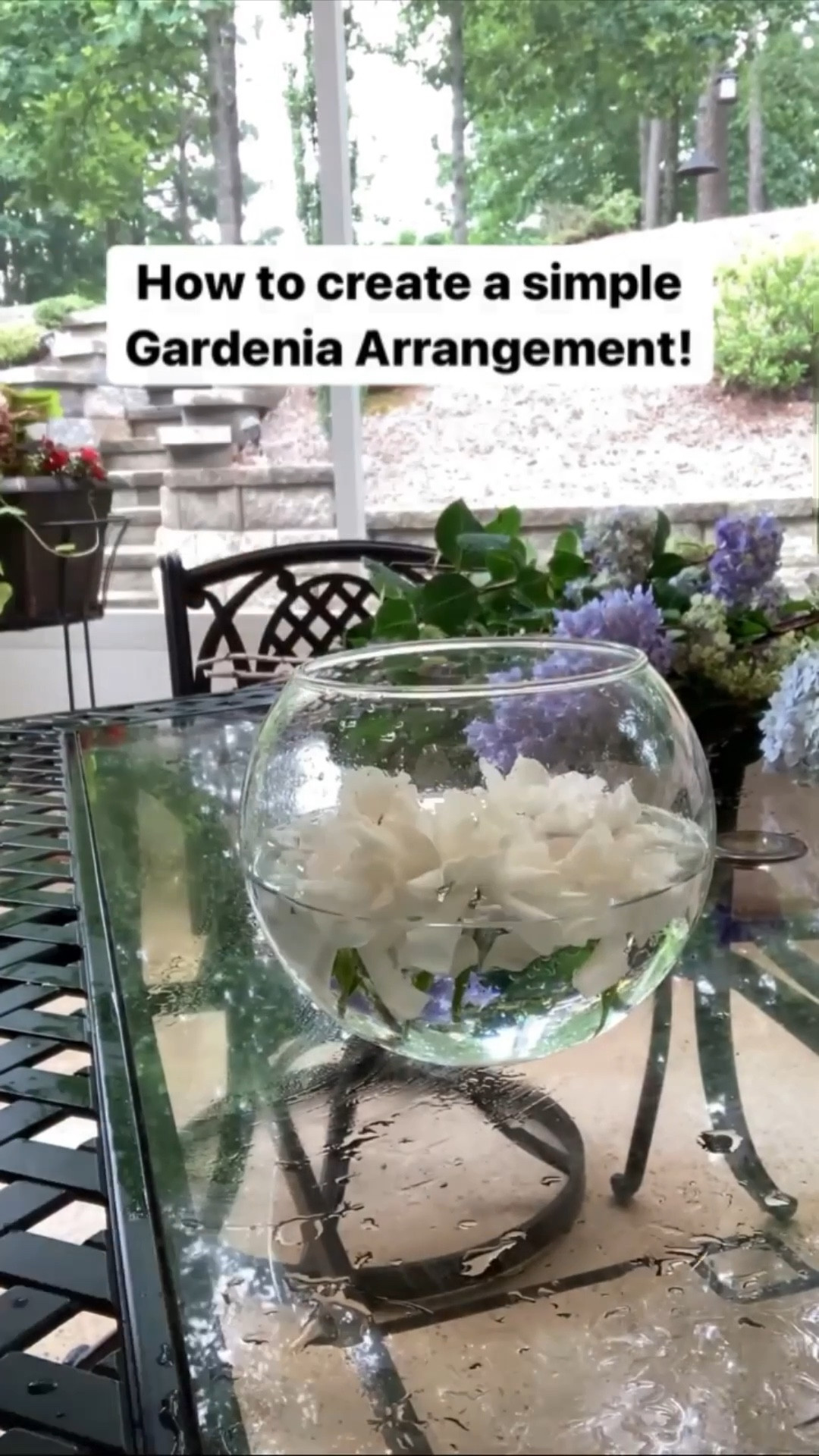 How to create a simple Gardenia arrangement!

#gardenia #flowerarrangement

#LTKHome #LTKSeasonal