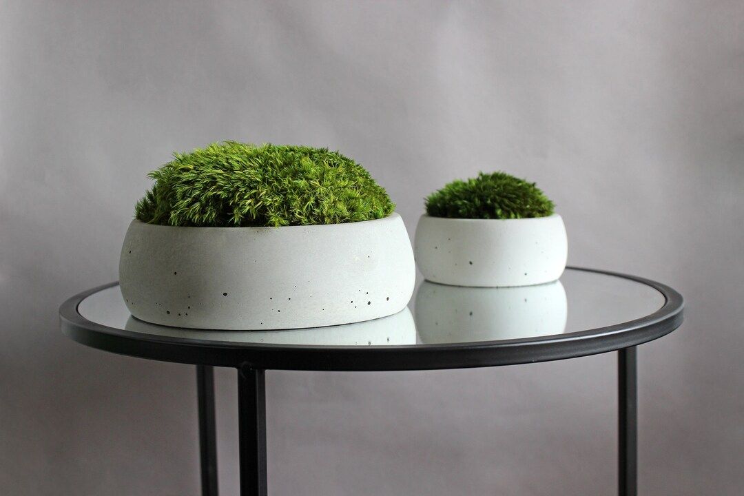 Moss Bowl Centerpiece Set of 2 Concrete Bowls With Moss - Etsy | Etsy (US)