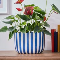 Scalloped Blue Plant Pot | Dunelm (migrated)