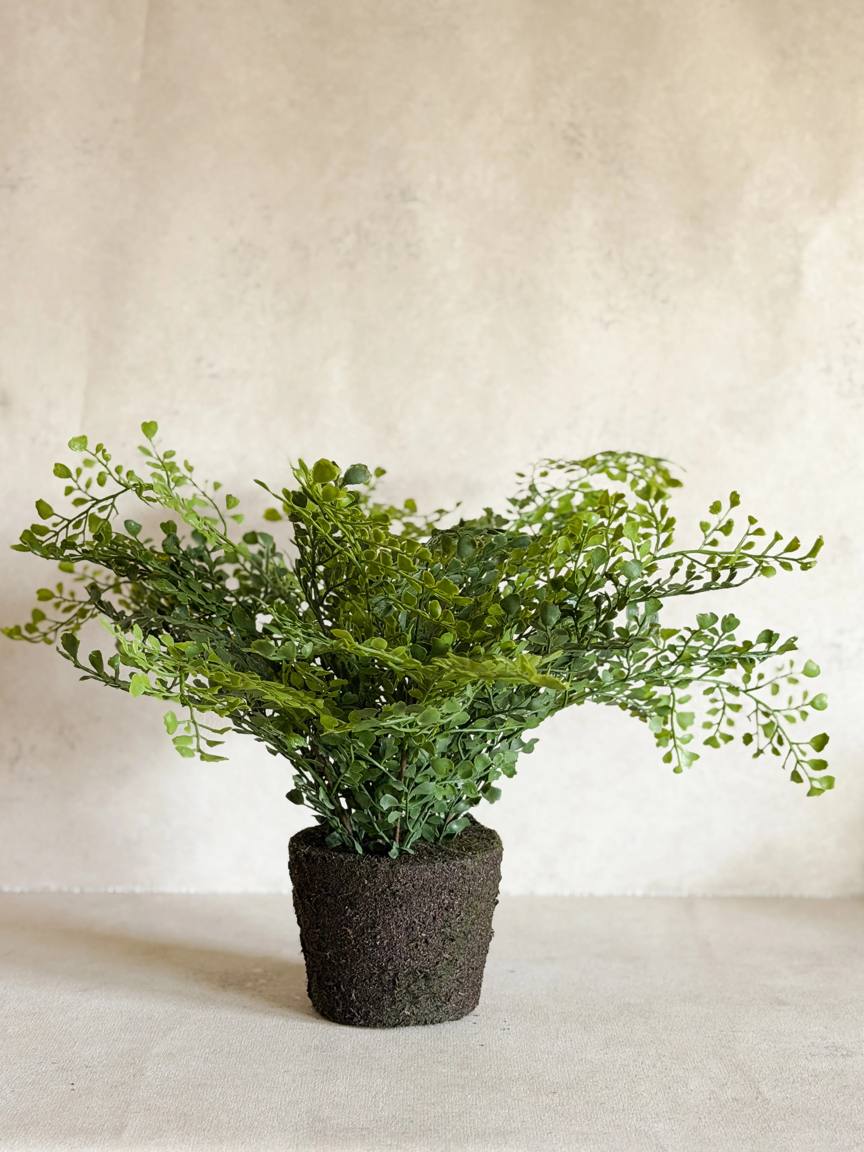 Faux Maidenhair Fern, Drop in 18 | Cottage and Key