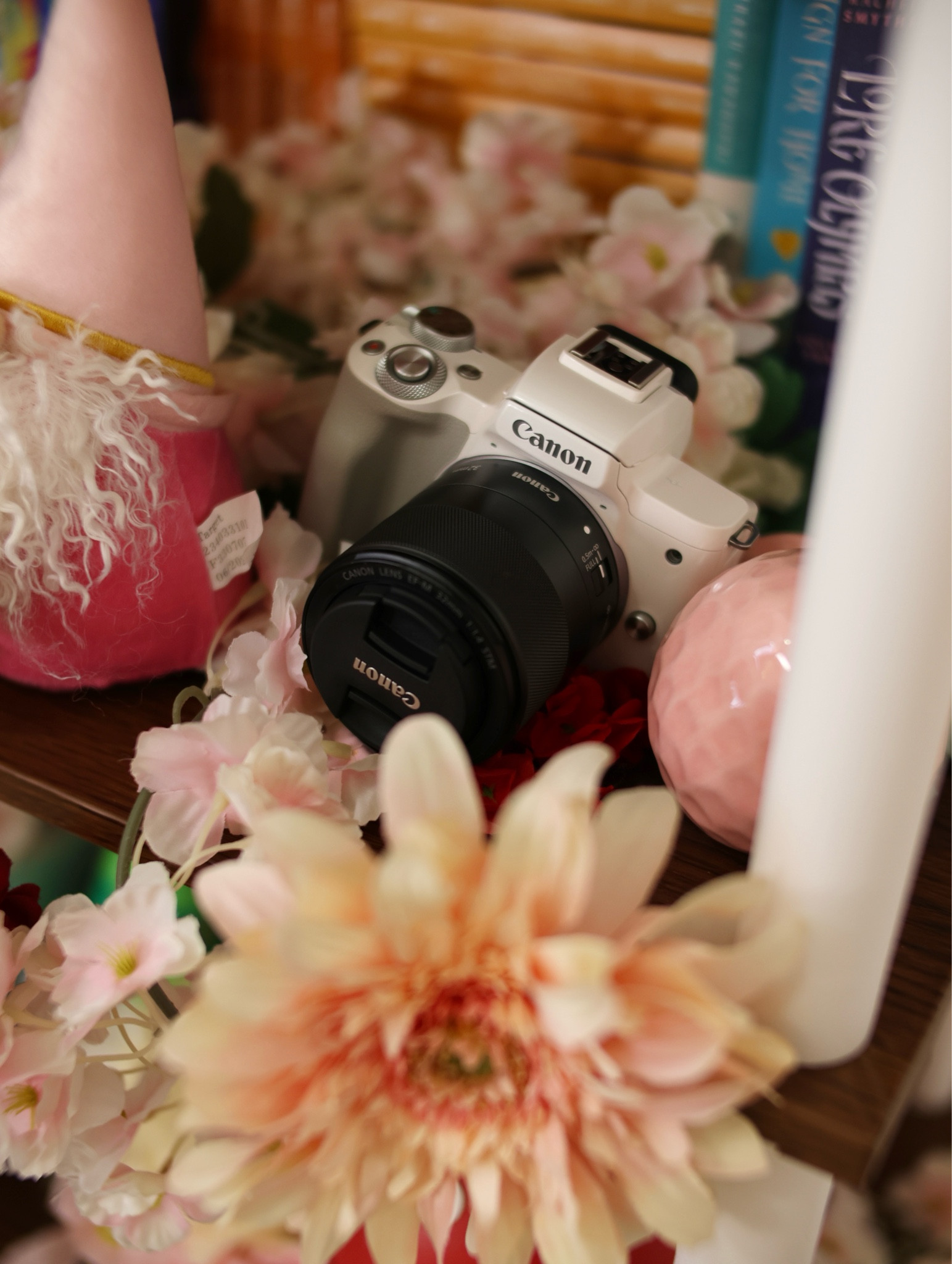 Canon M50 lens kit #contentcreator #budgetcontentcreator #budgetgear #canonm50 #canoncameras

#LTKVideo #LTKGiftGuide