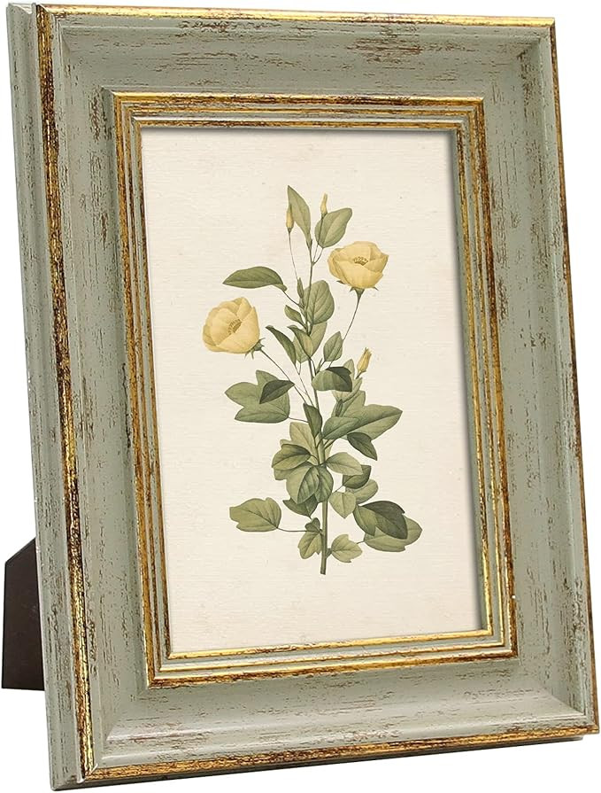 Sapowerntus Vintage 5x7 Picture Frame Gold Line Sage Green Distressed Photo Frames Set Antique Re... | Amazon (US)