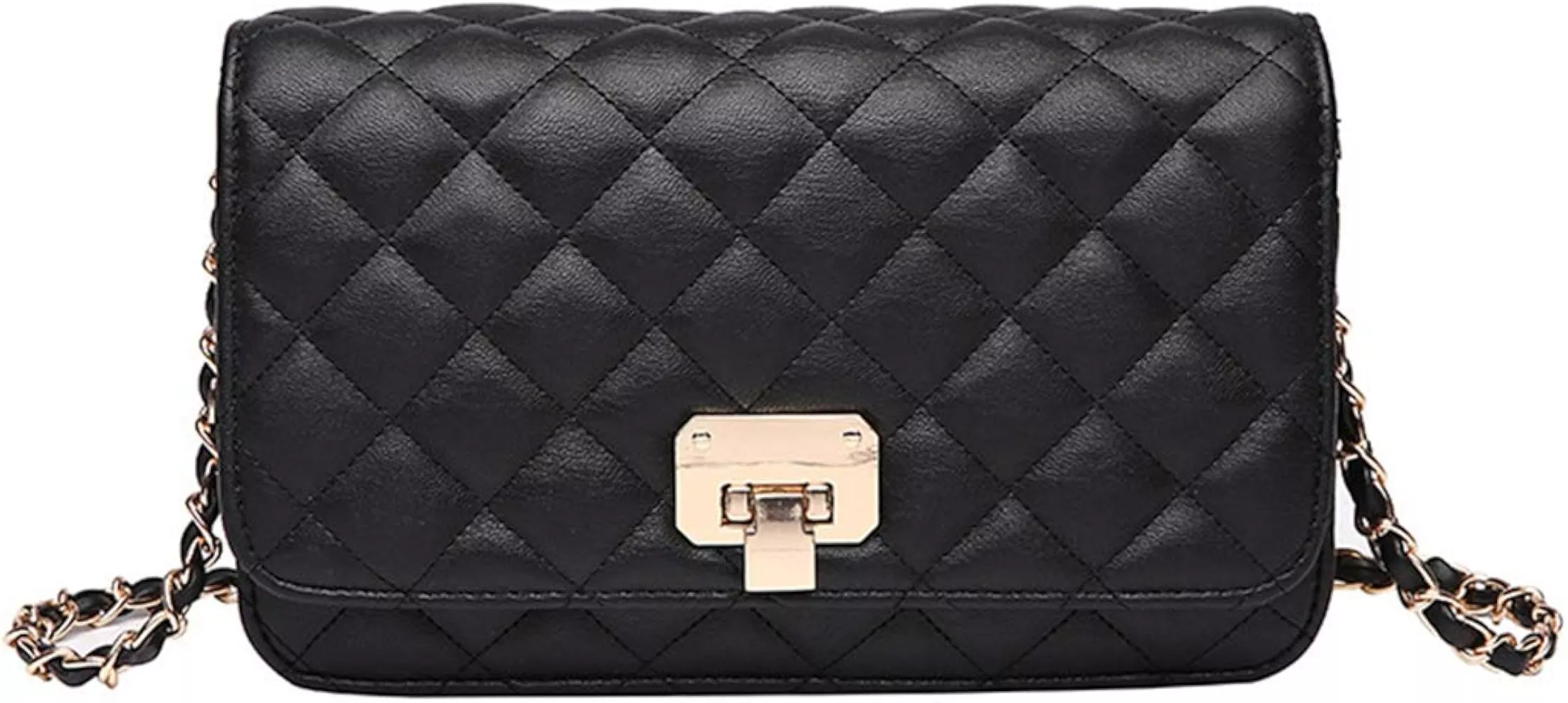 Intrbleu Small Purses and Handbags for Women, Quilted Shoulder