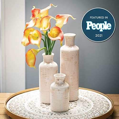 Sullivans Small Ceramic Vase Set of Three (3), 5”, 7.5” & 10” Tall, Modern Farmhouse Off-Wh... | Amazon (US)