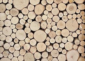 Wilson 8"-9" Decorative White Birch Fill-A-Space Logs, Natural Home Décor - 1.5"-4" Dia. (1 Sq. ... | Amazon (US)