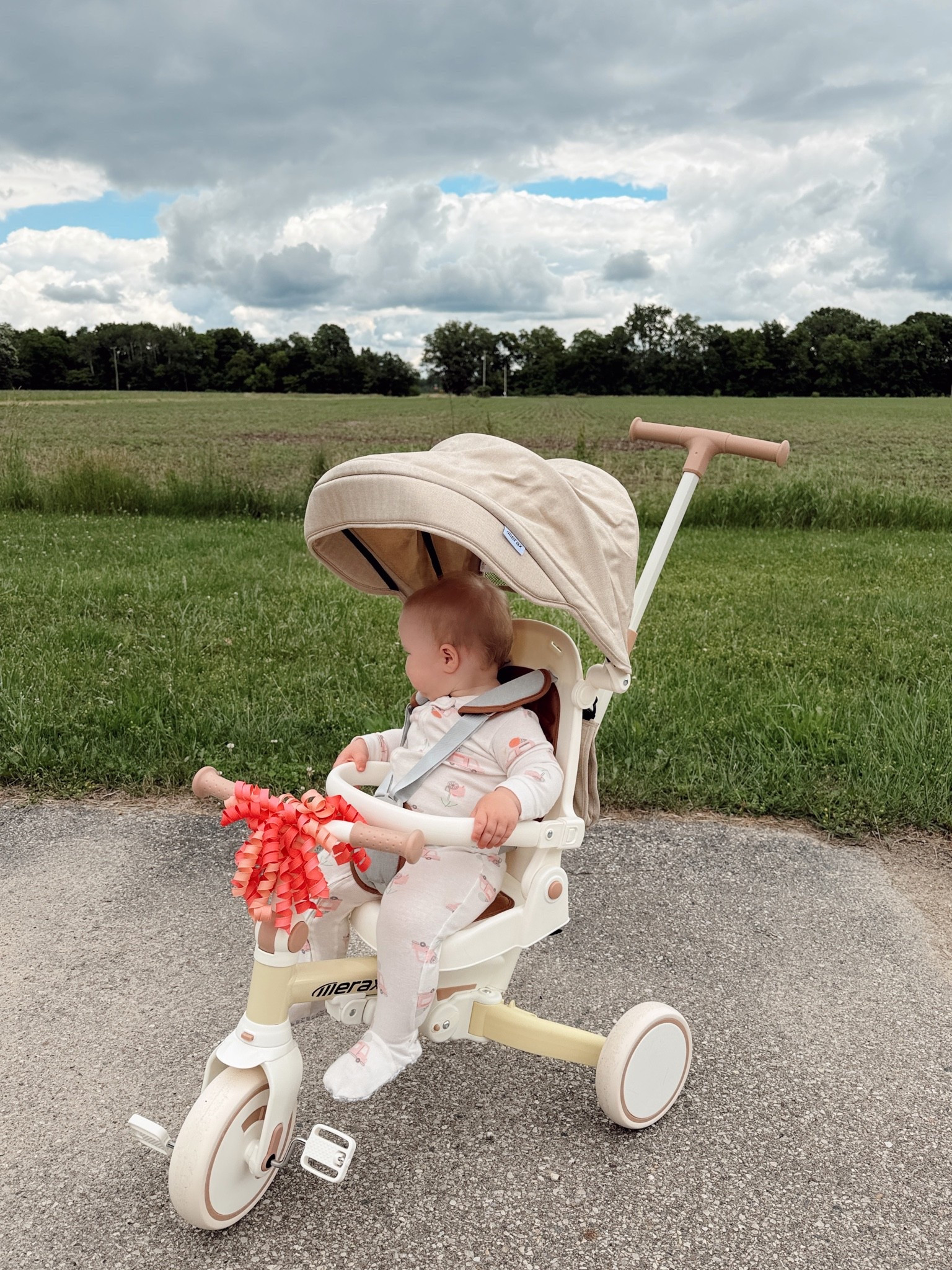 This 7-in-1 tricycle made the perfect 1st birthday gift!💛🌼🍋 So many adorable colors too!

#LTKmomlife #LTKBaby #LTKKids