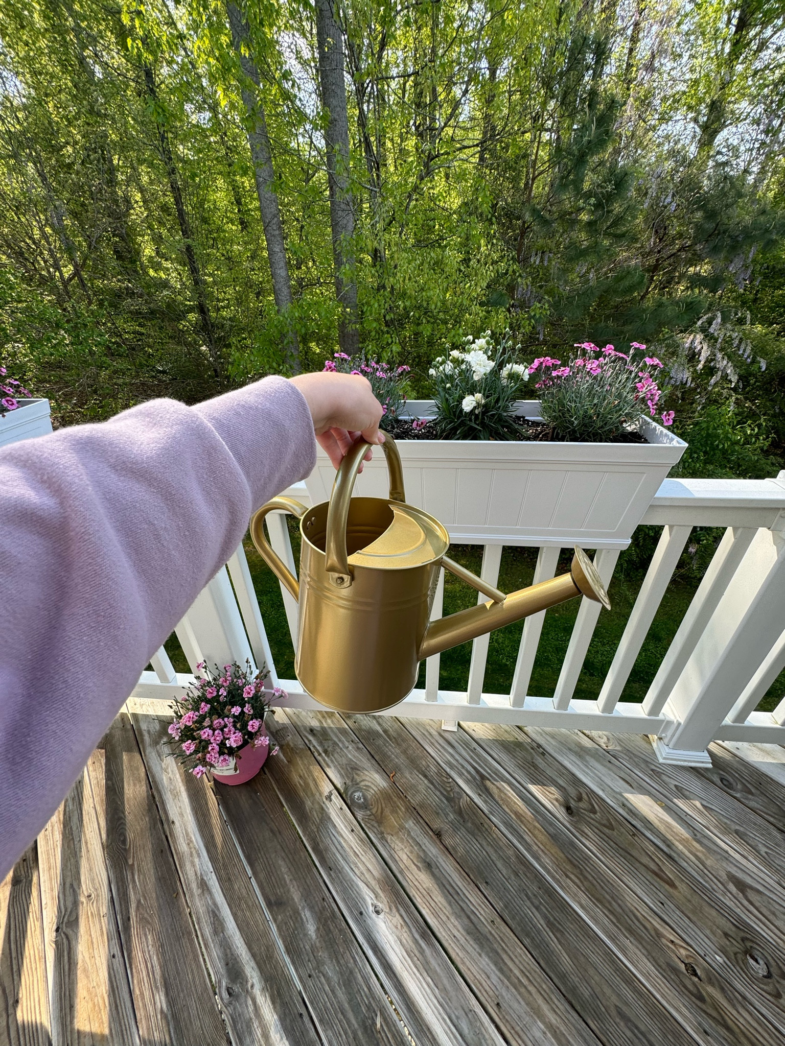The cutest brass metal watering can from Amazon & our planters for the porch! 🌸

Amazon finds / gardening / outdoor living / porch decor / outdoor planters 


#LTKSeasonal #LTKfindsunder50 #LTKfindsunder100