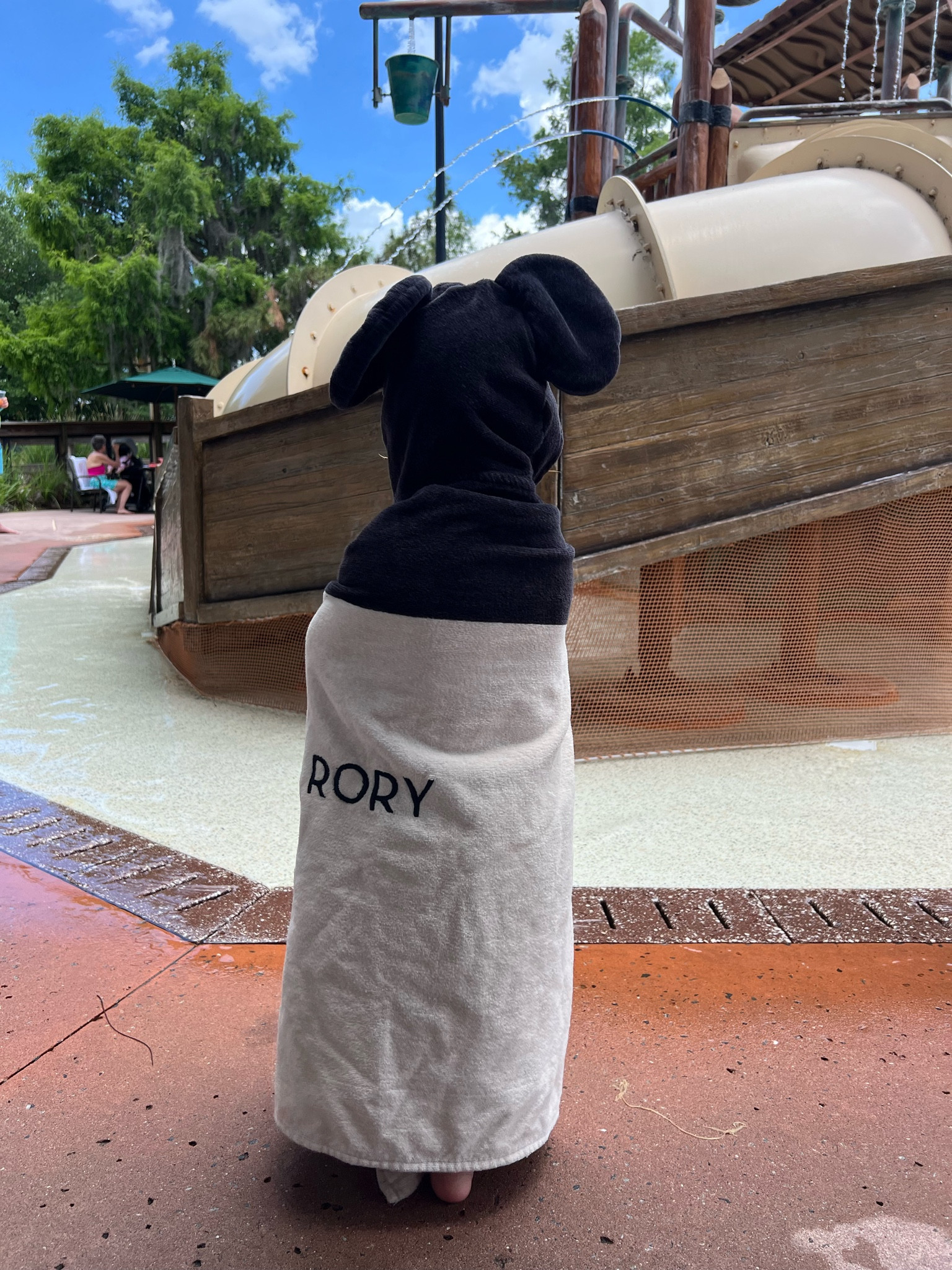 Out favorite Disney towel🙊

#LTKmomlife #LTKTravel #LTKKids