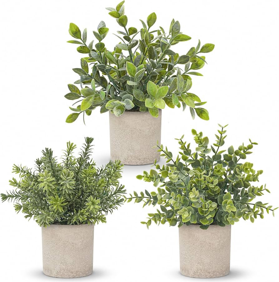 Der Rose 3 Pack Mini Potted Fake Plants Artificial Plastic Eucalyptus Plants Topiaries for Home O... | Amazon (US)