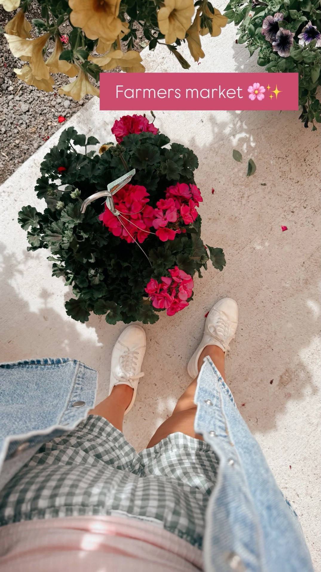 Farmers market mornings just hit different 🌸🍓 Easy comfy outfit for strolling around and grabbing fresh flowers and produce ✨ Oversized button down, boxer shorts, and a simple tank with sneakers for that effortless casual vibe 🤍 farmers market outfit | casual weekend outfit | boxer shorts outfit | plaid boxer shorts | oversized button down | pink tank top outfit | white sneakers outfit | comfy cute outfit | spring outfit ideas | summer outfit ideas | effortless style | casual everyday look | running errands outfit | laid back style | boho casual outfit | trendy loungewear | street style casual | outfit inspo | amazon fashion finds | easy outfit ideas 🌸

#LTKootd #LTKgrwm #LTKdayinmylife
