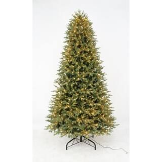 Home Accents Holiday 9 ft Jackson Noble Fir Pre-Lit LED Artificial Christmas Tree with 1500 Color... | The Home Depot