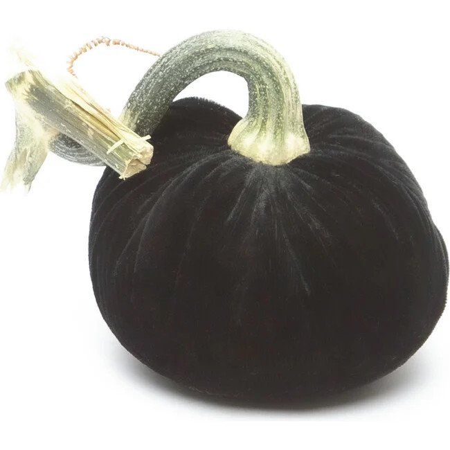 Hot Skwash | Velvet Pumpkin, Ebony | Silk (Black, Size 5"") | Maisonette | Maisonette