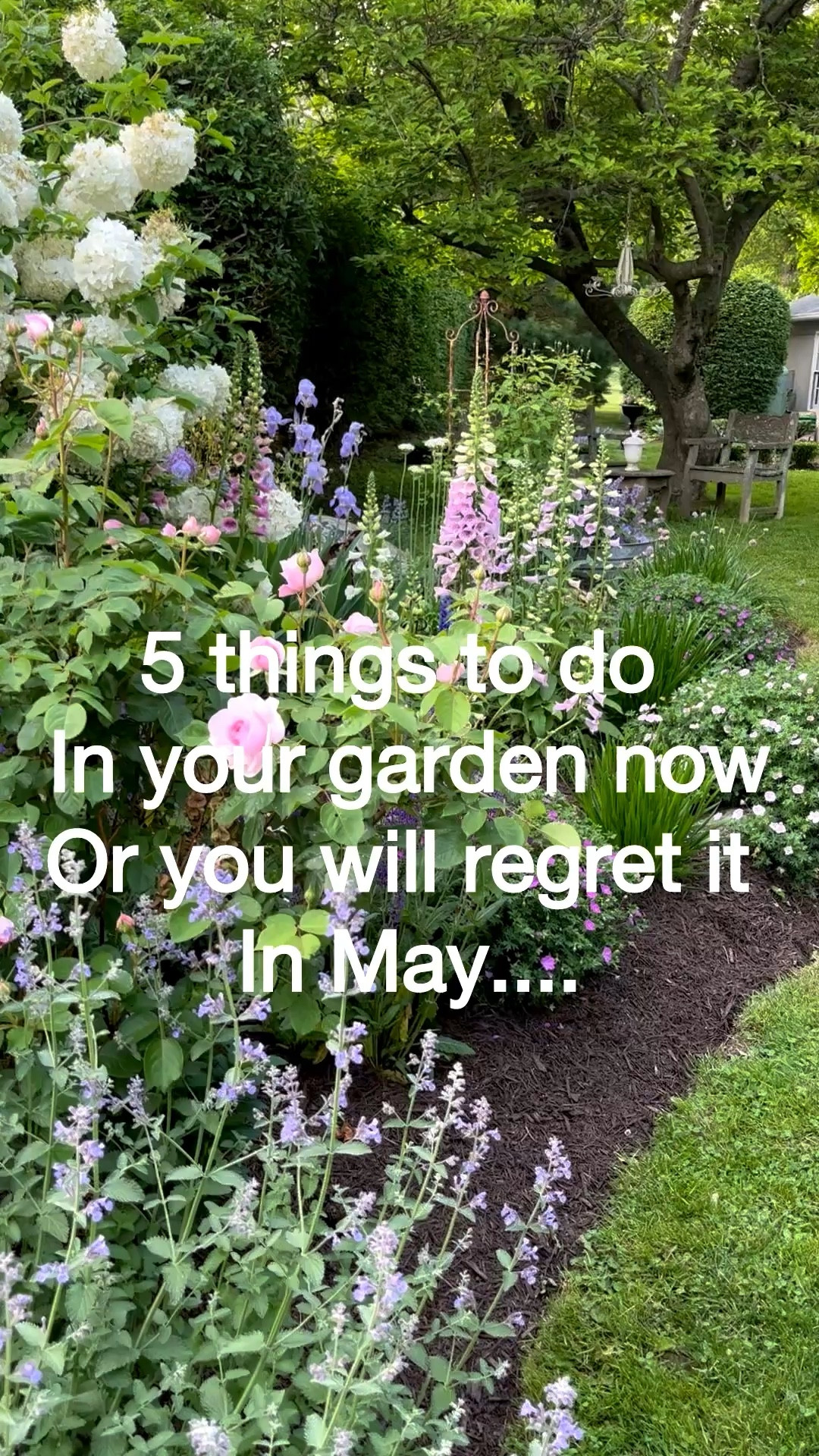 March is when your garden either thrives… or struggles all season 🌱

These are the exact things I’m doing in my cottage garden right now to set everything up for success—especially my roses 🌸

I’ve linked my favorite garden tools, rose care essentials, and deer protection I use every single spring (trust me… don’t skip that last one!)

Creating a beautiful garden isn’t about perfection—it’s about doing the right things at the right time 🤍

Shop everything I’m using here ⬇️

#ltkhome #ltkgarden #cottagegarden