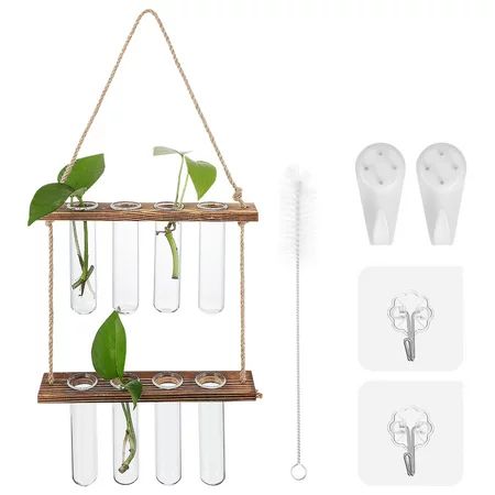 Hanging Propagation Station for Plants Glass Test Tube Vases with Wooden Rack Sticky Hooks Nail Hook | Walmart (US)