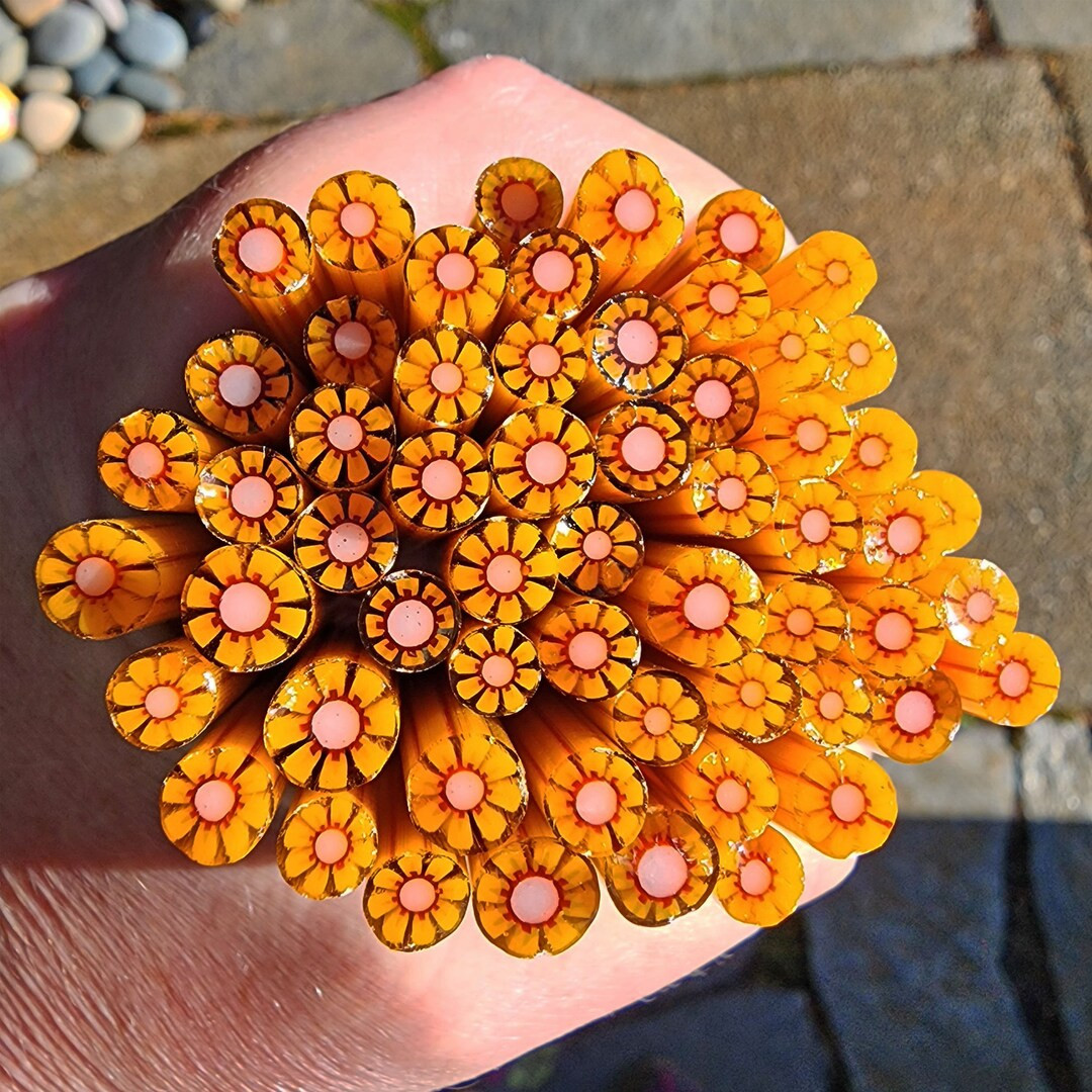 coe 90 Flower: Pumpkin Spice - 1 oz Murrini Murrine Millefiori Vitrigraph Cane- MINZABELLA MURRIN... | Etsy (US)