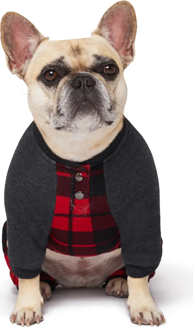 Canada Pooch Frosty Fleece One Piece Sweatsuit | Nordstrom | Nordstrom