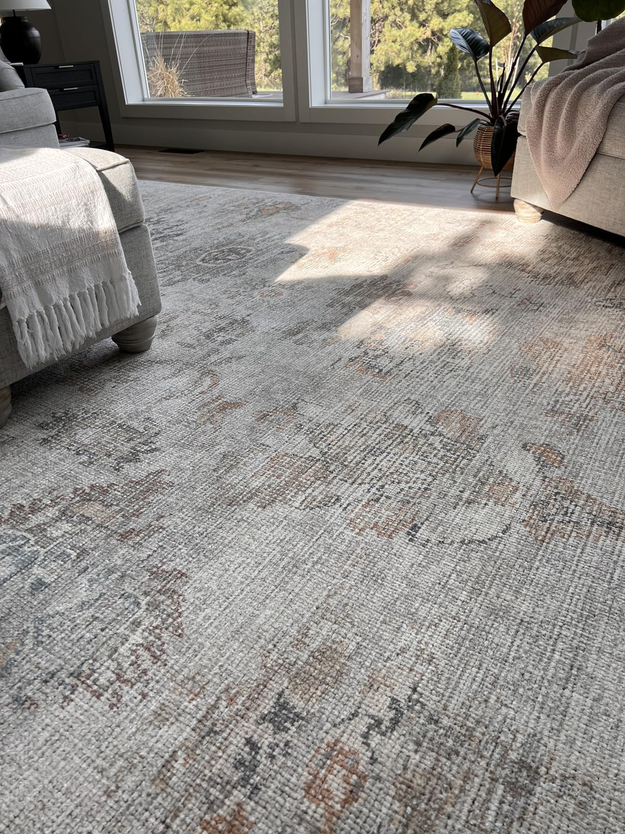 Surya x Our PNW Home Olympic Updated Traditional Area Rug, 6'7" x 9', Pale Blue | Amazon (US)