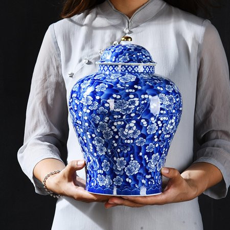 Ceramic Ginger Jar Blue White Porcelain with Lid Chinoiserie Gift Porcelain Jars Vase for Living Roo | Walmart (US)
