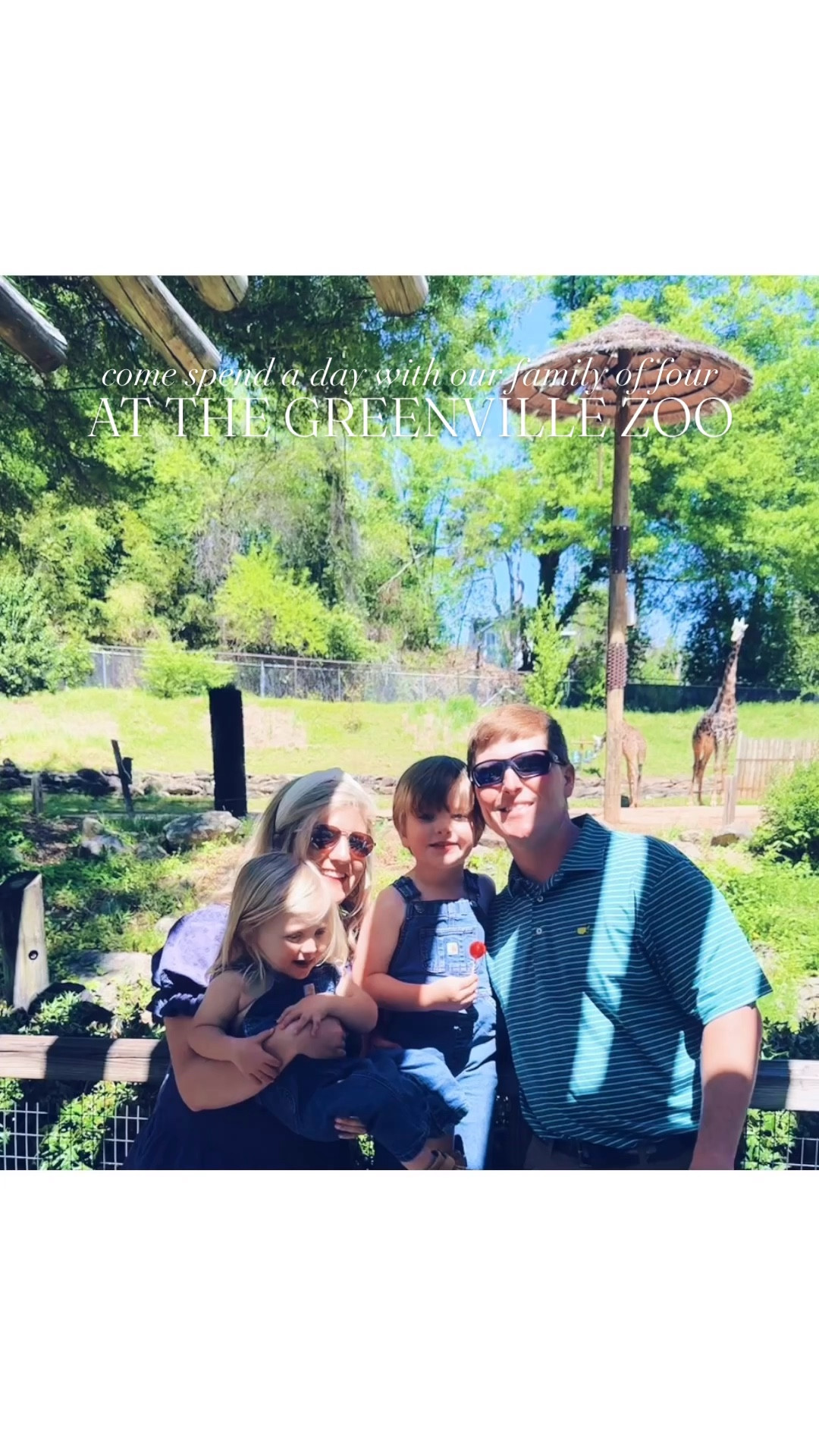 Nothing sweeter than a beautiful day at the   z o o   with my favorite lil’ crew ☀️👶🏼🩵🦩🐒🦒🦍🦜🐆🐯🐊🐵🦁🦓🐢🦚🦢🐕🦧🐘🦎 #dayatthezoo #zooday #zoocrew #babysfirsttriptothezoo #zoodaybestday 