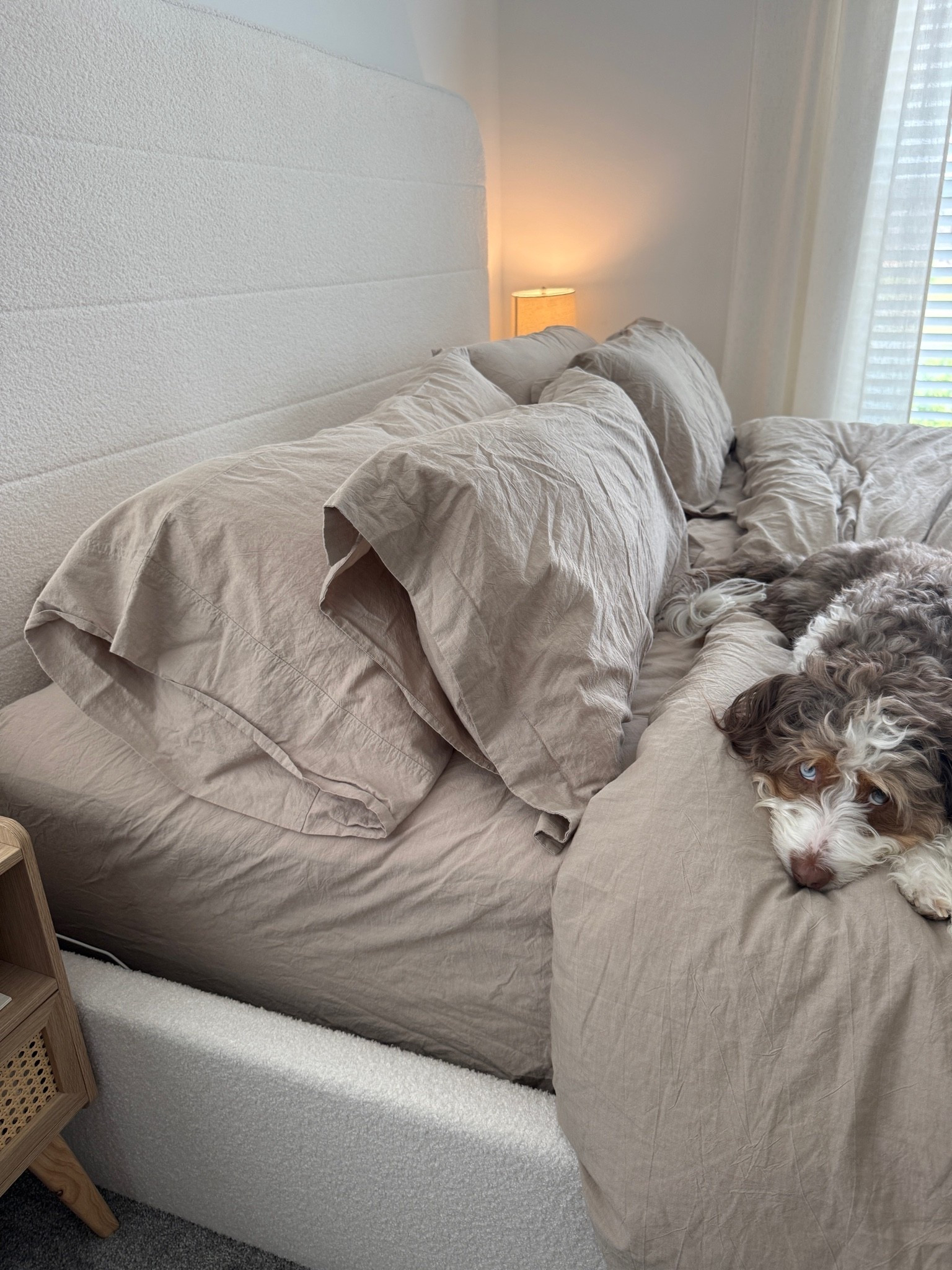 These sheets are so incredibly perfect ✨ (pup approved)

#LTKHome