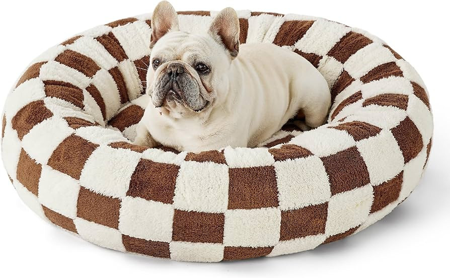 Lesure Donut Small Dog Bed - Round Cat Beds for Indoor Cats Anti-Anxiety Calming Pet Beds, Washab... | Amazon (US)