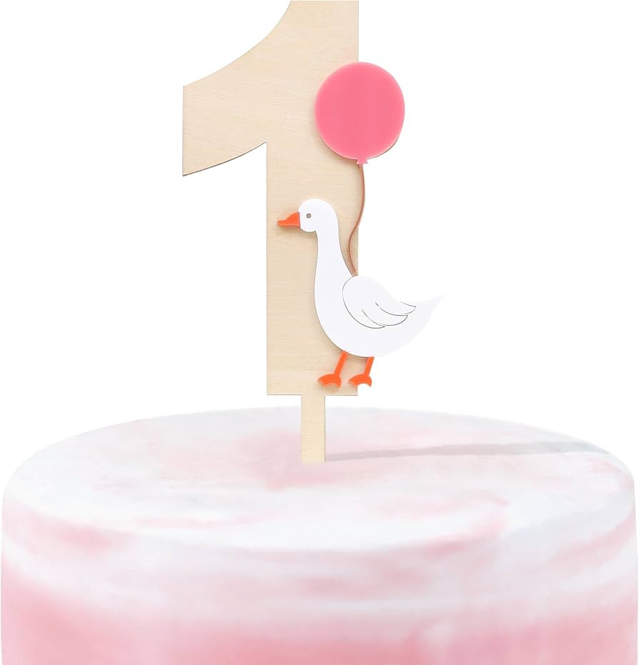 One Silly Goose Number 1 Cake Topper - Cake Topper First Birthday Baby Boy,One Silly Goose,Smash ... | Amazon (US)