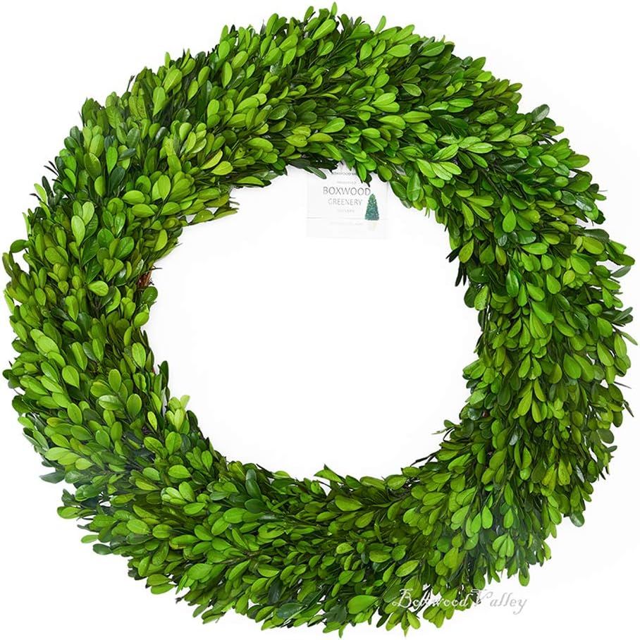 BoxwoodValley Boxwood Wreath 20 inch Real Preserved Boxwood Wreath Well Handcrafted Green Garland... | Amazon (US)