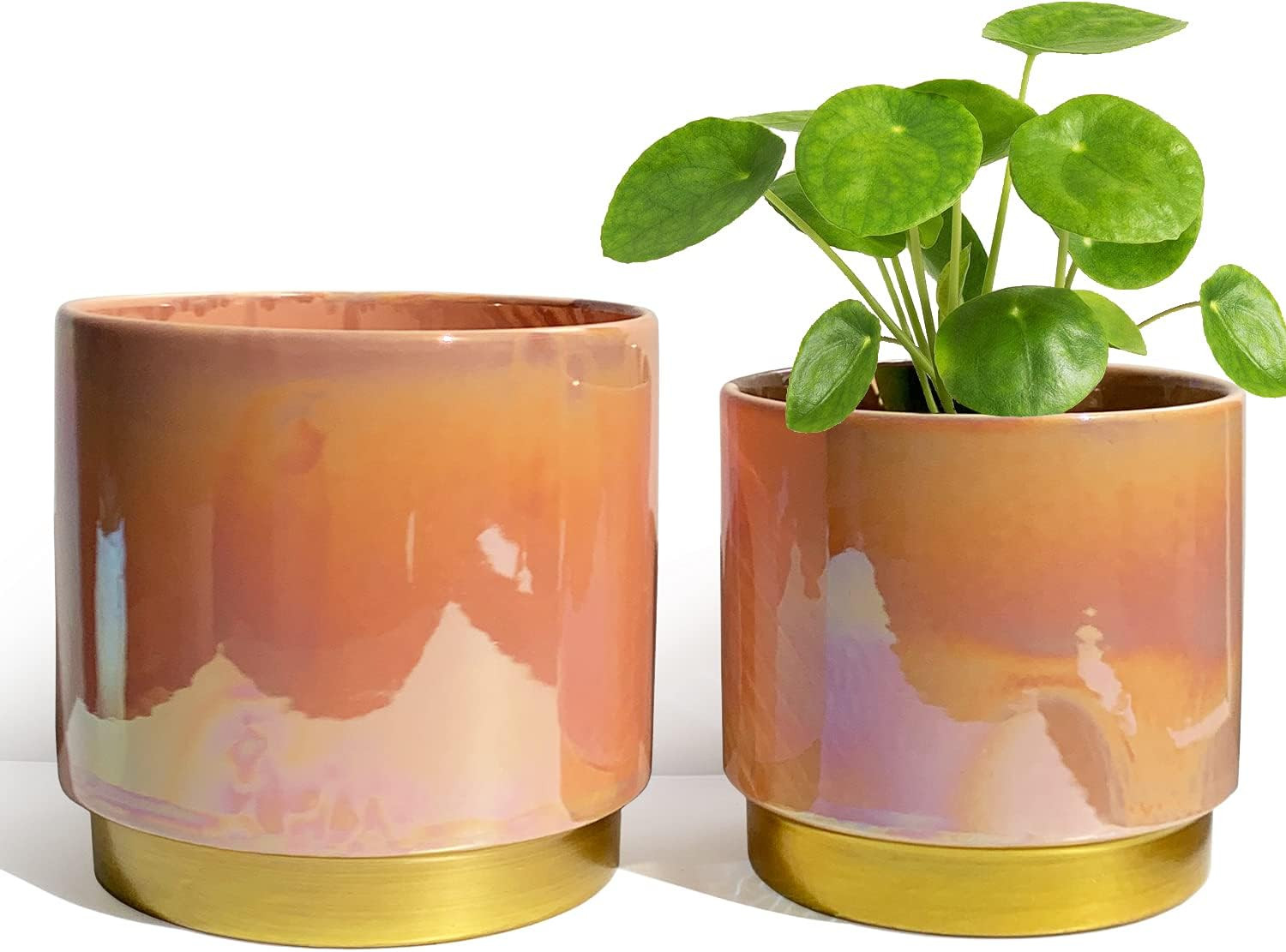 YFFSRJDJ Ceramic Flower Plants Pots Planter with Drainage Hole, 6.0 inch+5.0 Inch. Indoor-Outdoor... | Amazon (US)