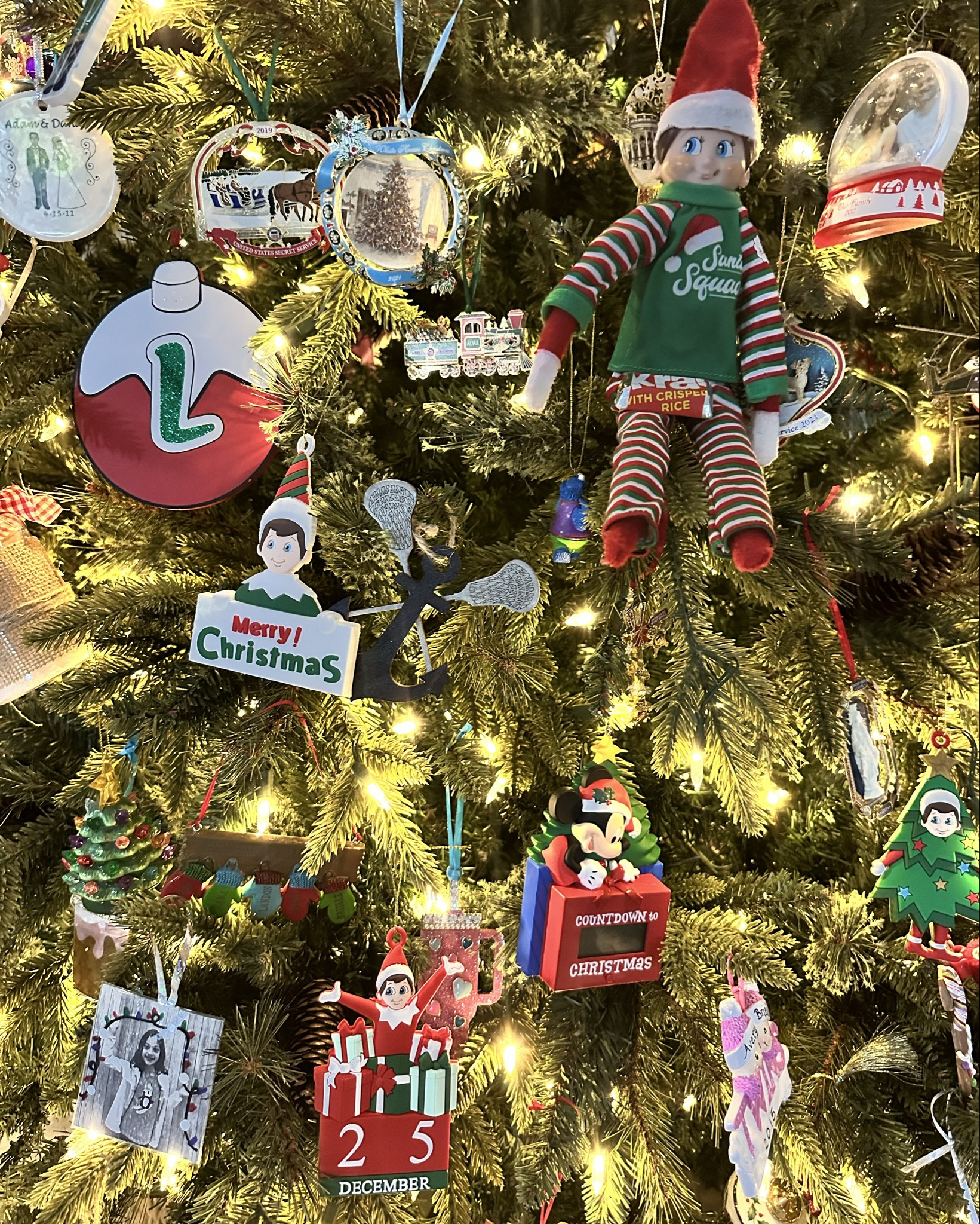 Our elves 🧝 brought us a pack of Elf ornaments and hung them on our tree last night. 

#LTKKids #LTKdayinmylife #LTKHoliday