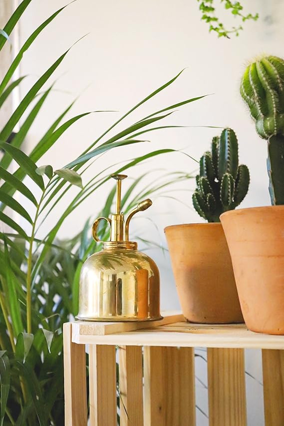 BRASS PLANT MISTER: Indoor Plant Mister, Terrarium Mister, Orchid Spritzer, Succulent Mister, Nic... | Amazon (US)