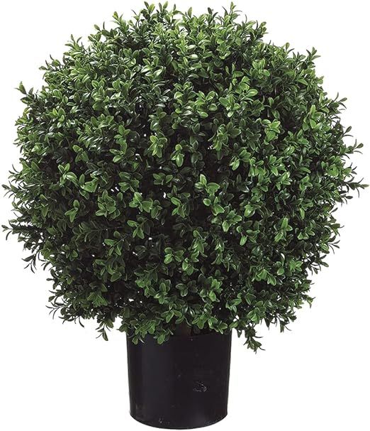 Set of 2 - Pre-Potted 24" High Ball Shaped Boxwood Topiary- 16" Diameter - Plastic Pot | Amazon (US)