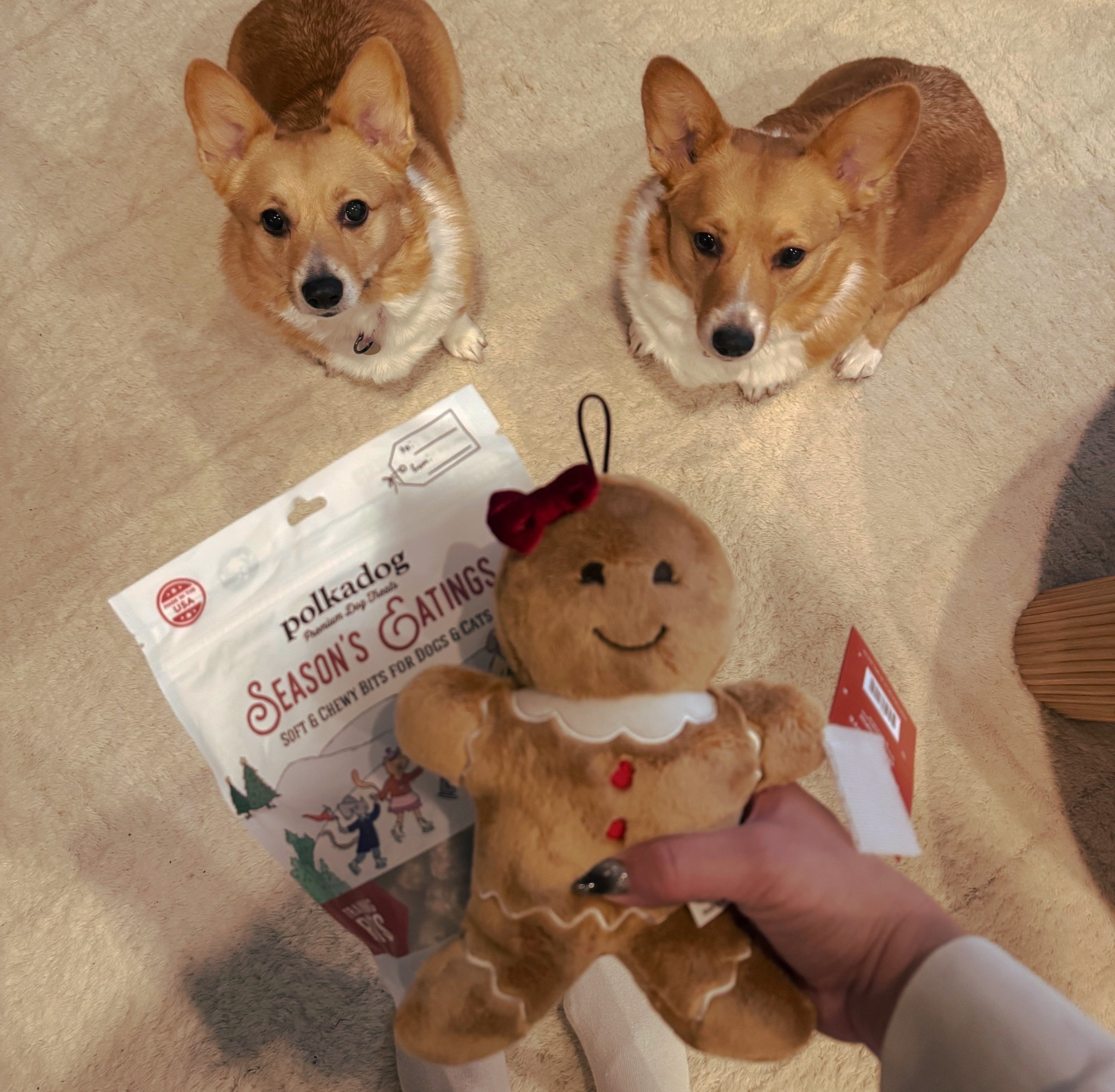 Scooped up some holiday CHEER for THE GIRLS! 🐶🐶 The girls have already sampled, and APPROVE of the turkey and cranberry treats! Found this cutie gingerbread girl at MUDBAY, but will link similar online! #corgis #corgilove 

#LTKHoliday #LTKPets #LTKGiftGuide