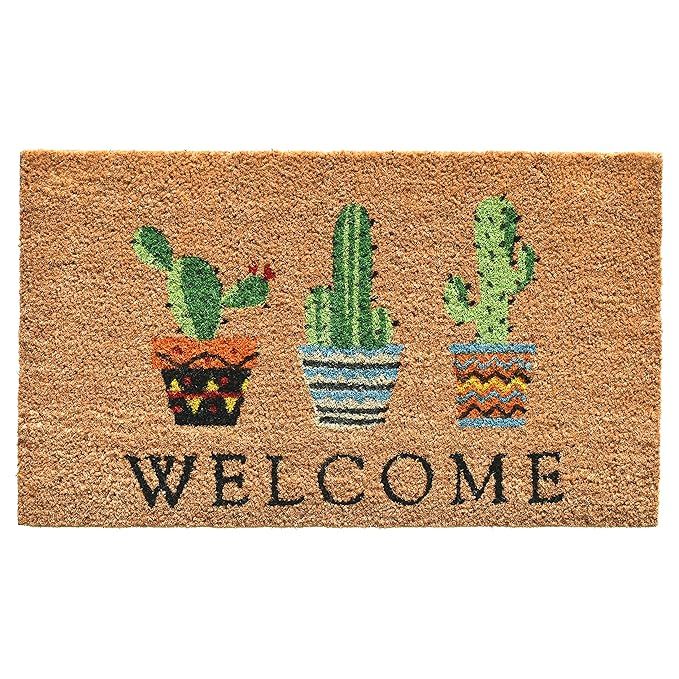 Calloway Mills 104051729 Cactus Welcome Doormat, 17" x 29" Multicolor | Amazon (US)