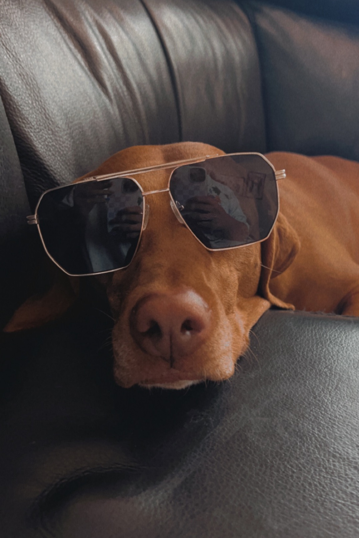 Stella B said these are her fav Amazon sunnies right nsunglasses

#LTKswim #LTKFind #LTKunder50