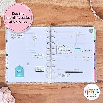 Happy Planner Disney Disc-Bound Mid-Year 12-Month Planner, July 2024–June 2025 Daily, Weekly, M... | Amazon (US)